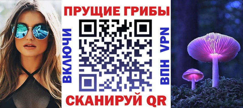 Купить  Ипатово  Псилоцибиновые грибы мицелий 